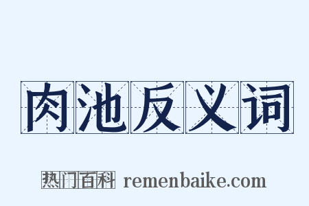 肉池反义词是什么意思的图片